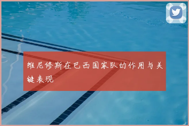 维尼修斯在巴西国家队的作用与关键表现