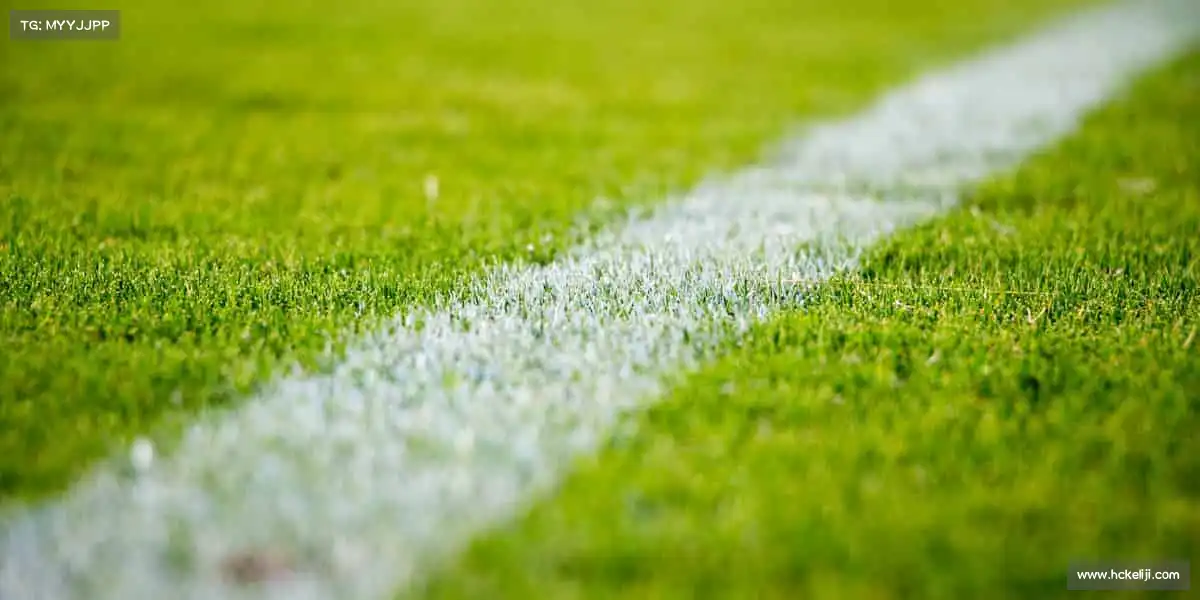 世界杯官网🏃♂️运动点燃激情,每一步都是超越自我的证明!